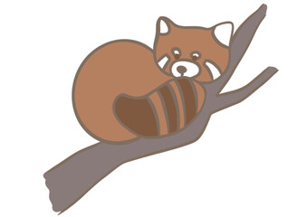 Red Panda Lesser Panda on a tree stick