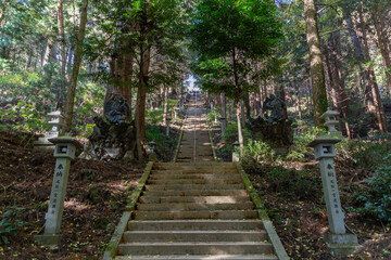 大雄山最乗寺　奥の院へ続く階段（日本神奈川県南足柄市）