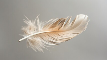 Obraz premium A single feather floating in the air, showcasing the gentle movement and delicate form.