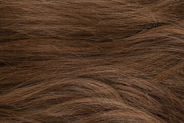 Long human brown hair background texture close up