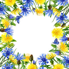 Obraz premium Square Card with wildflowers all around. With Copy space for Text of Greeting and Butterflies, sitting on flowers