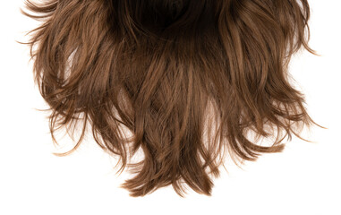 Long human brown hair isolated on background. hair texture close up