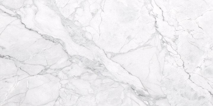 Elegant White Marble Texture. A high-resolution image of a pristine white marble with subtle veins, perfect for showcasing its luxurious texture and pattern.