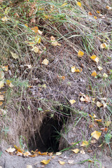an empty fox hole. Selective focus