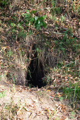 an empty fox hole. Selective focus