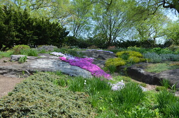 Nowy Jork, ogród, park przy Fort Tryon park, kwiecień