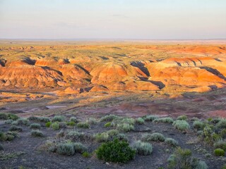 Vibrant Colors During Sunset at Petrified Forest National Park