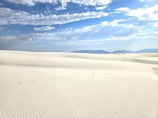 Wavy Sand Dunes at White Sands National Park