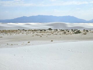 Wavy Sand Dunes at White Sands National Park
