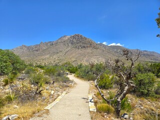 Scenic Views at Guadalupe Mountains National Park