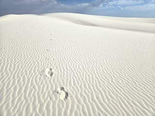 Footprints Pathway at White Sands National Park