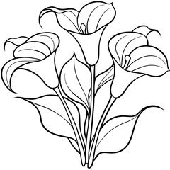 Line art of Calla Lily vector illustration