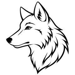 Fototapeta premium wolf vector illustration