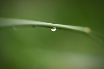Water Droplet