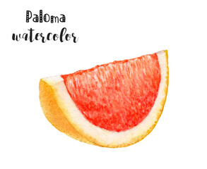 Ideal for botanical art lovers or food enthusiasts a watercolor painting of a grapefruit slice