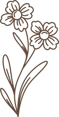 Handdrawn Organic Flower Branches illustration