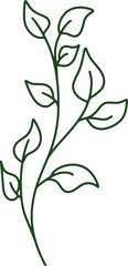 Handdrawn Organic Leaves illustration