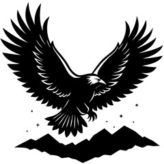 Obraz premium eagle with wings