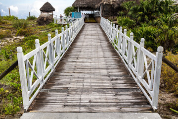 wooden bridge in the park