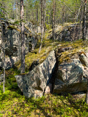 Discover the serene beauty of a sunlit hiking trail through the majestic forests of Karelia. Perfect for nature lovers and outdoor enthusiasts seeking tranquility and adventure