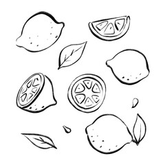 Lemons hand drawn ink doodle set with white borders. Isolated monochrome citrus collection on transparent background. Printable illustration for stickers, decoration or web design.