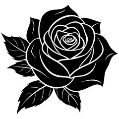 black and white rose