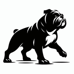 Bulldog lap dog breed face head isolated pet animal