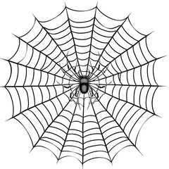 Intricate spider web with a spider at the center, woven in perfect geometric patterns, isolated on a white background.