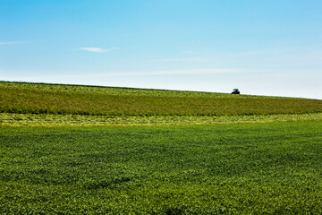 Cutting alfalfa on the Wisconsin hillside farm field in June