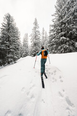 Mountaineer backcountry ski walking ski alpinist in the mountains. Ski touring in alpine landscape with snowy trees. Adventure winter sport. Low Tatras, slovakia