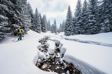 Mountaineer backcountry ski walking ski alpinist in the mountains. Ski touring in alpine landscape with snowy trees. Adventure winter sport. Low Tatras, slovakia