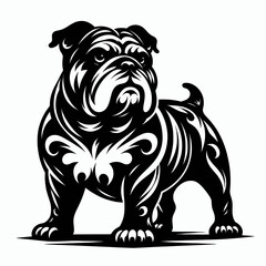 Bulldog lap dog breed face head isolated pet animal
