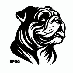 Bulldog lap dog breed face head isolated pet animal