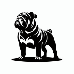 Bulldog lap dog breed face head isolated pet animal