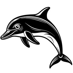 Obraz premium dolphin isolated on white