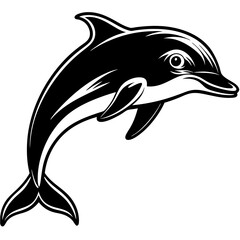 Obraz premium dolphin isolated on white