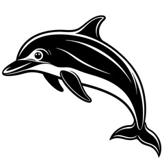 Fototapeta premium dolphin isolated on white