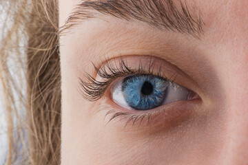 Obraz premium Macro photo of beautiful blue female eye looking straight into the camera. Close up young woman's eye.