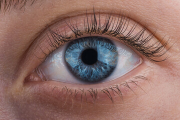 Macro photo of beautiful blue female eye looking straight into the camera. Close up young woman's eye.