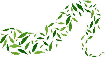 Obraz premium Flying green leaves element decoration freshening in nature background. botanical vector