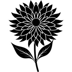 Aster vector illustration