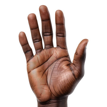 recommend clip art: Palm of an African-American hand on a transparent background