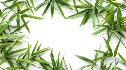 A frame made from intertwined green leaves on a white background