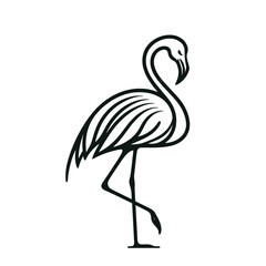 Flamingo line drawing: logo, badge, label. vector illustration.
