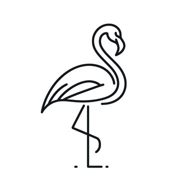recommend clip art: Flamingo line drawing: logo, badge, label. vector illustration.