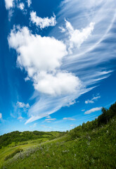 Cirrus clouds over a pasture