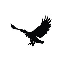 Eagle silhouette logo icon vector