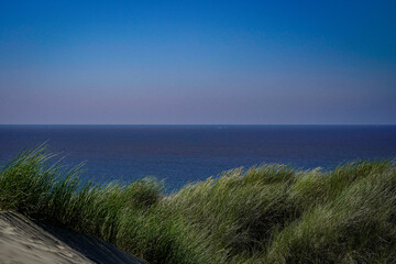 Gras im Wind und wunderschöne Dünen auf der Insel Ameland, Nordsee, Niederlande. im Hintergrund die Nordsee.