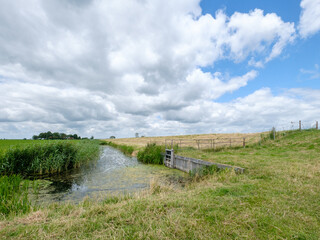 Nature reserve Mandjeswaard, Kampen, Overijssel province, The Netherlands