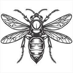 Obraz premium Bee with different facial expressions